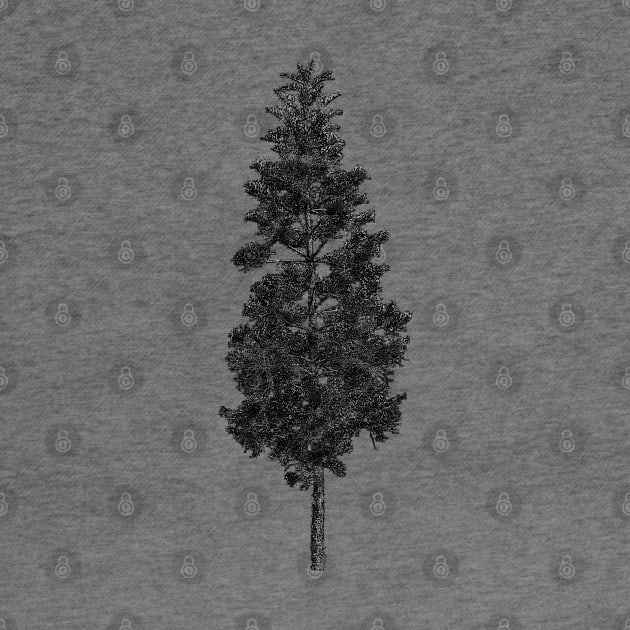 Pine Tree Silhouette in vintage retro texture by MalmoDesigns